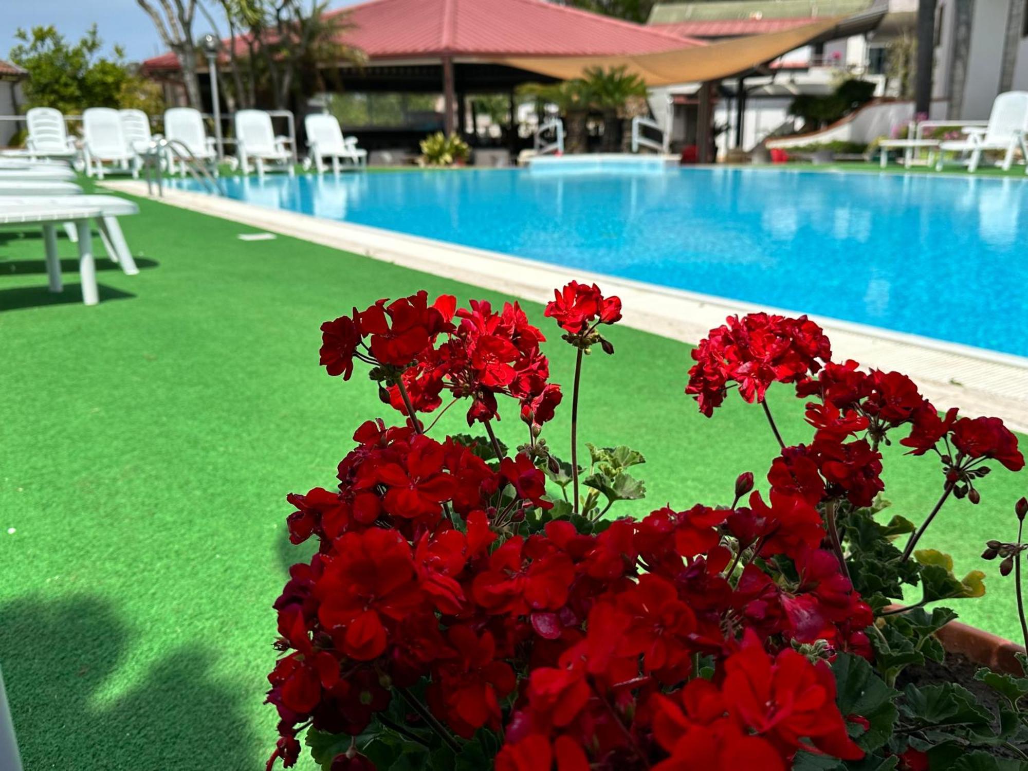 Hotel B&B Marina Capaccio ภายนอก รูปภาพ