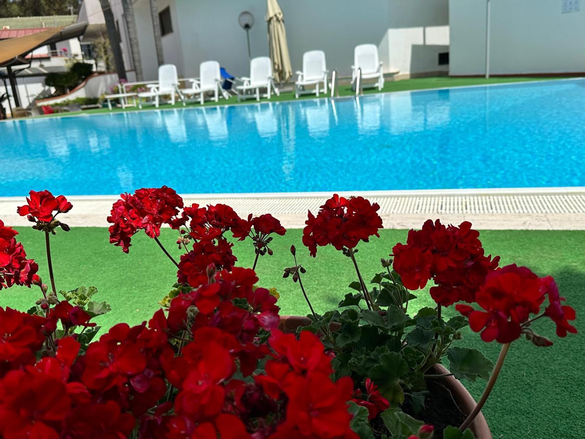 Hotel B&B Marina Capaccio ภายนอก รูปภาพ