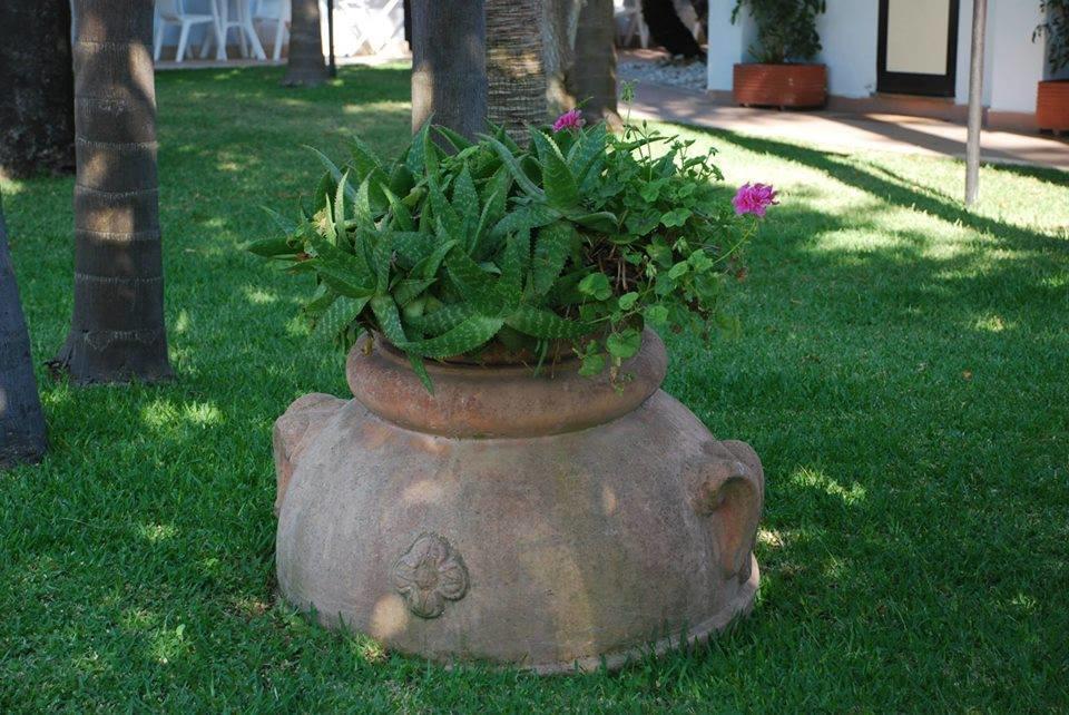 Hotel B&B Marina Capaccio ภายนอก รูปภาพ